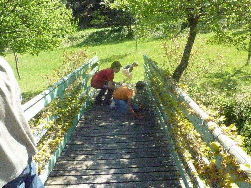 P1020855 [1600x1200].JPG